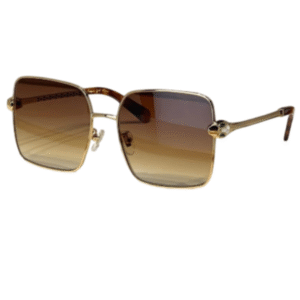 BV6180 Sunglasses
