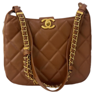 Braided Handle Chain Hobo Bag in Brown